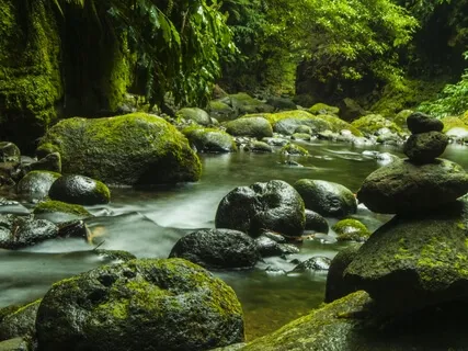 Releasing Emotional Baggage  With 142 Hz