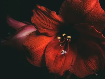 Releasing Emotions -  Piano Sleep