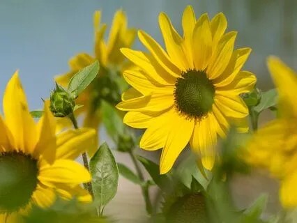 Releasing Energies Of The Day