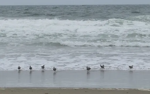 Releasing Excess Emotion