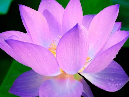 Releasing Expectations