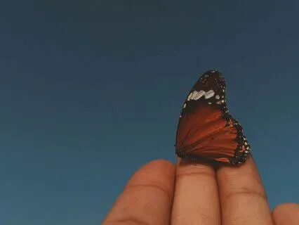 Releasing Fear And Anxiety Meditation For Grounding And Rest