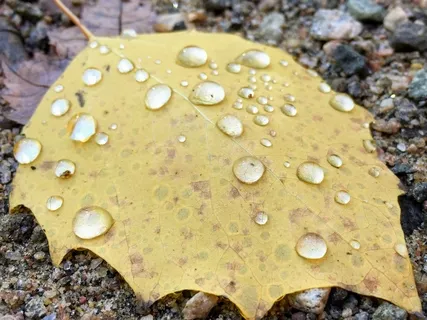 Releasing Fear In Challenging Times (Coronavirus)