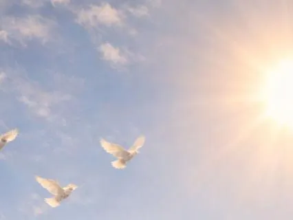 Releasing Fear Meditation