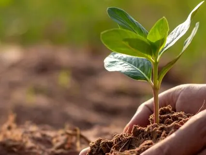 Releasing Fear Of Failure & Planting The Seed Of Bold Action