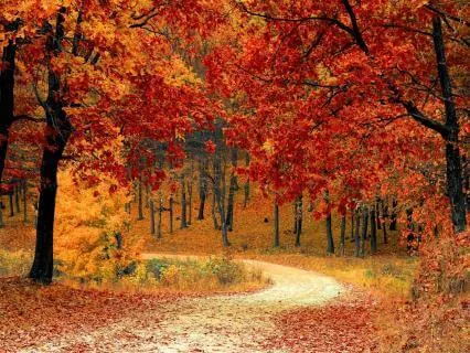 Releasing Fear Of The Future With Reiki Infused