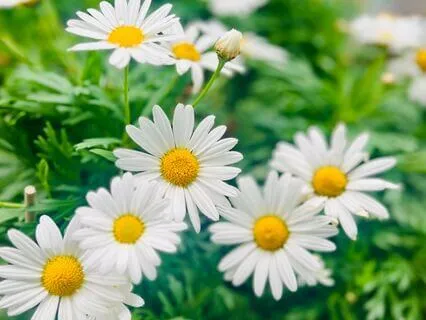 Releasing Fear Of The Future