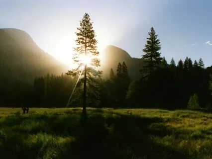 Releasing Fear Through Consciousness (Live)