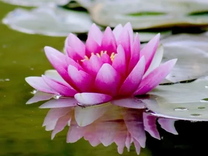 Releasing Fears & Worries Meditation