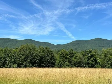 Releasing Fight-or-Flight: A Practice For Deep Relaxation