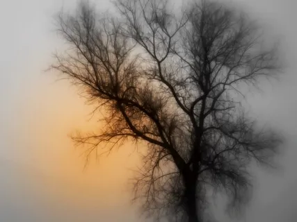 Releasing Grief: Talk & Meditation