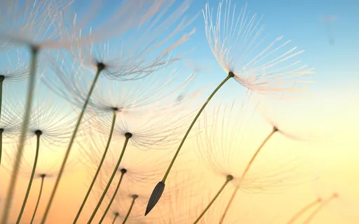 Releasing Guilt & Stress To Live Life Fully Meditation