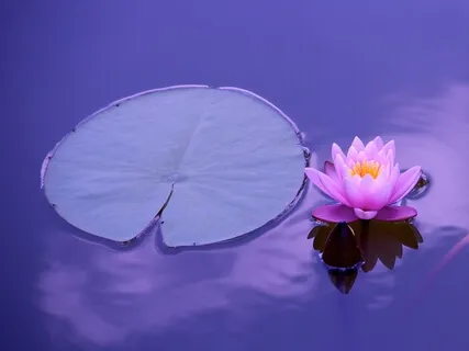 Releasing Guilt - Course In Miracles