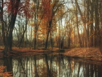 Releasing Heartache Practice