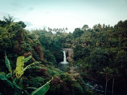 Releasing Heavy Emotions & Energy