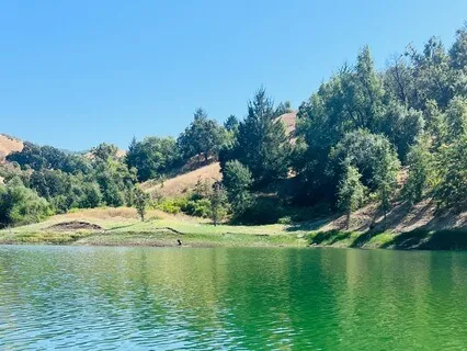 Releasing Invalidation