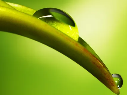 Releasing Lack Of Love