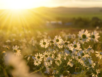 Releasing Lack Of Self-Belief