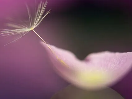 Releasing Limitations: Embracing Abundance