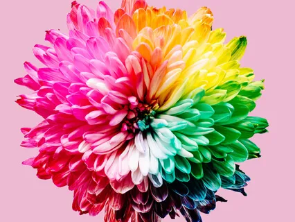 Releasing Limiting Beliefs