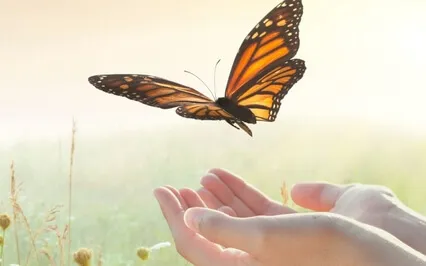 Releasing Limiting Beliefs