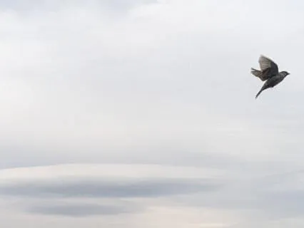 Releasing Lingering Energy Through Creative Visualization