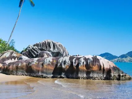 Releasing Loss: A Healing Journey For Grief