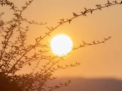 Releasing Lower Frequencies Through Source Alignment