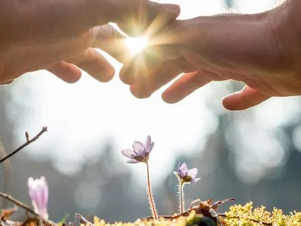 Releasing Mental Blockages & Awakening True Gratitude