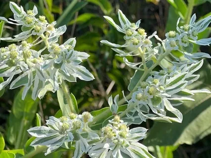 Releasing Negative Experiences