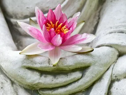 Releasing Negative Self Talk During Fall