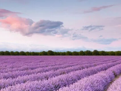 Releasing Negativity, Embracing Positivity