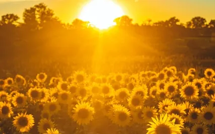 Releasing Old Energies | Calling in New Energies 