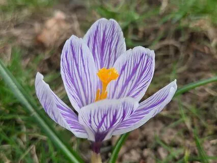 Releasing Old Energy Meditation