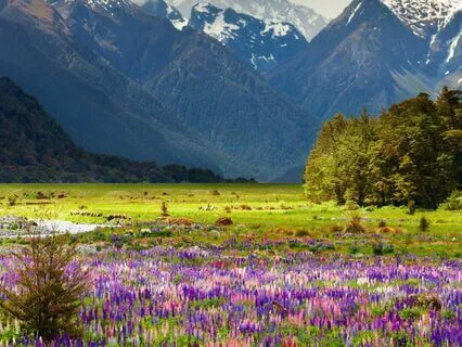 Releasing Overstimulation