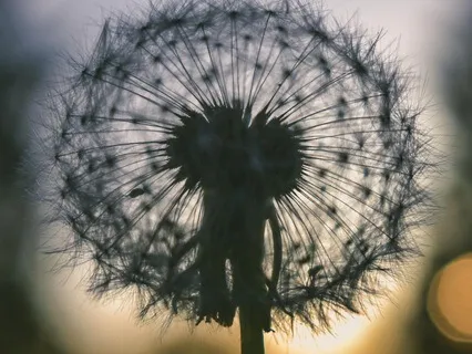 Releasing Overwhelm And Difficult Emotions