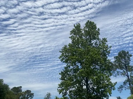 Releasing Past Fears