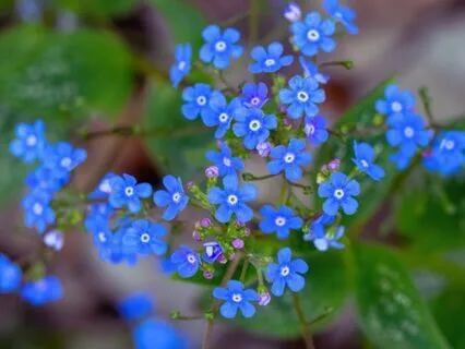 Releasing Regret: A Journey To Inner Peace