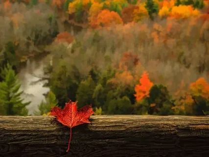 Releasing Resentment