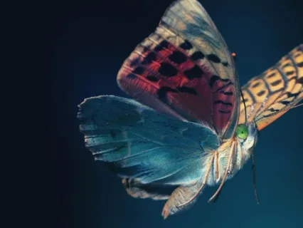 Releasing Resistance