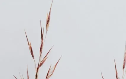 Releasing Self Doubt