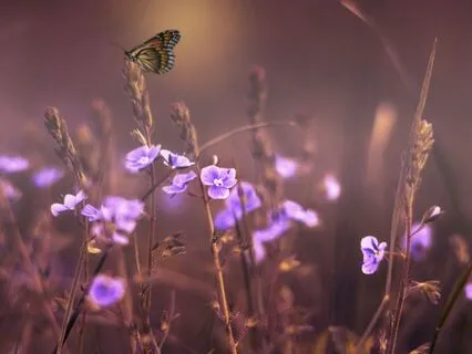 Releasing Self-Doubt & Awakening Self-Worth