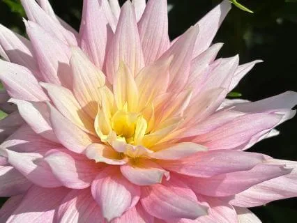 Releasing Self Hatred And Receiving Divine Love
