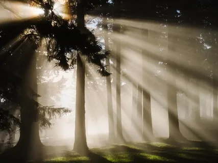 Releasing Shame: A Live Coaching Session