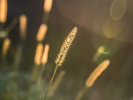 Releasing Shame & Societal Pressure Of Perfectionism