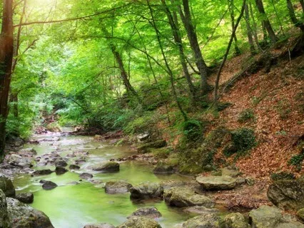 Releasing Shame, Guilt, Anxiety & Other Friends