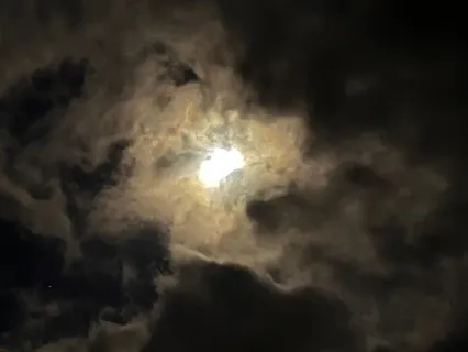 Releasing Shame & Guilt