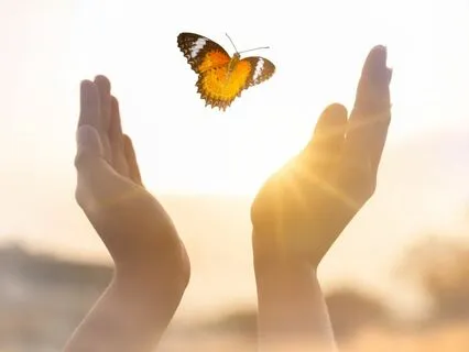 Releasing Soul Contracts