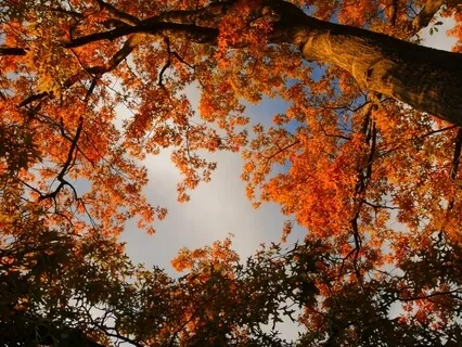 Releasing Stress And Anxiety