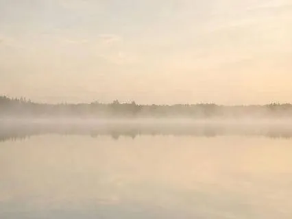 Releasing Stress And Anxiety From The Body